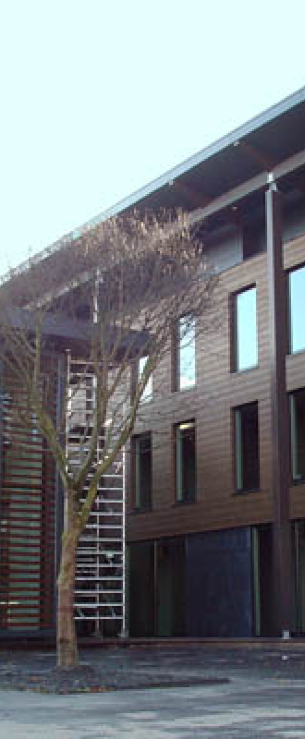 foto2.jpg