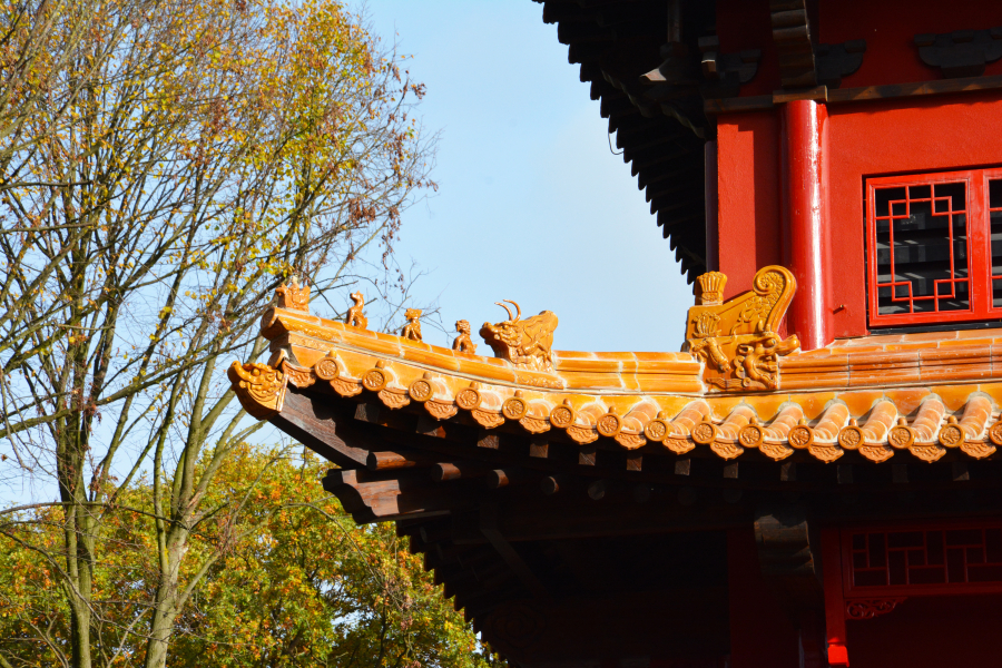 Pandasia_detail.JPG