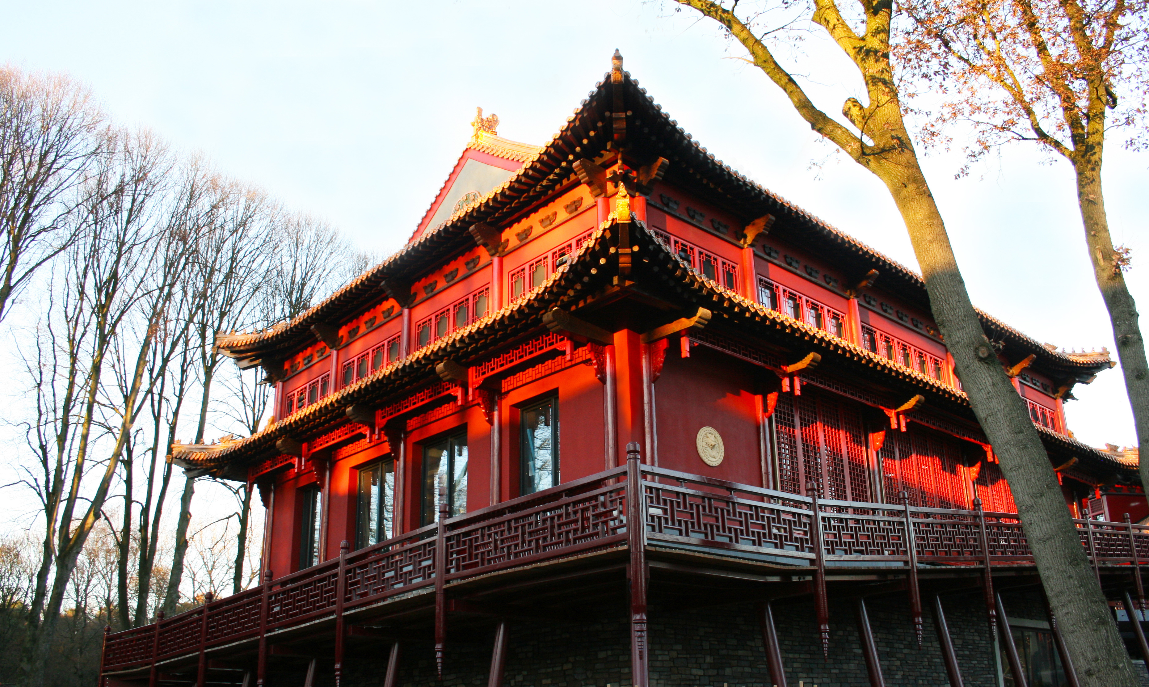 Pandasia_bouw.JPG